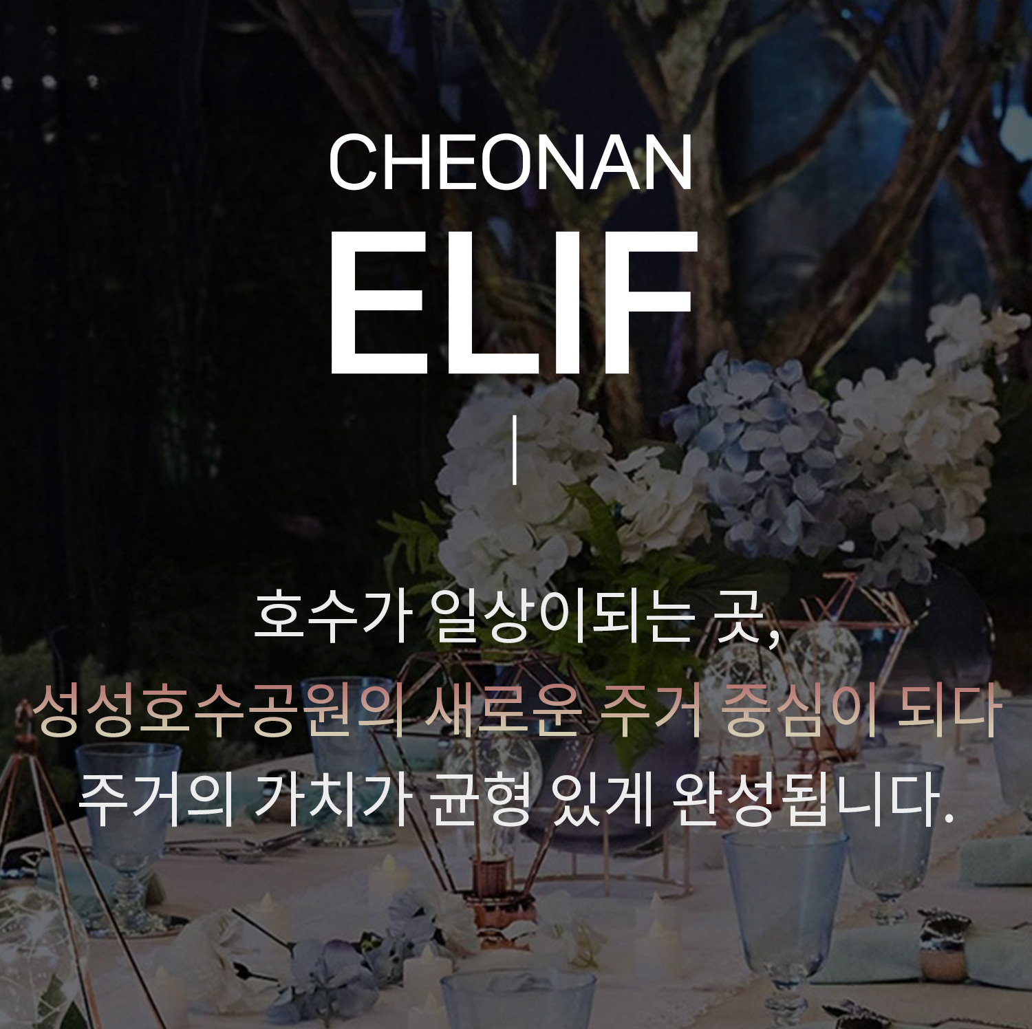 elif-mobile-banner-2